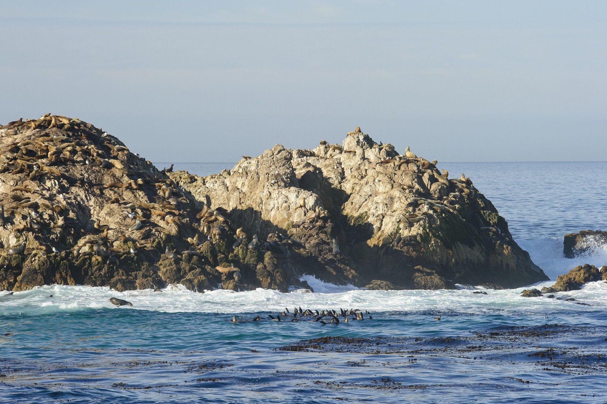 Inn At Spanish Bay Pebble Beach Exteriér fotografie